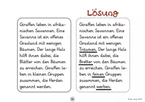 Vorschau - Arbeitsblätter - Texte lesen - 4 Unterschiede finden Teil 3 (2.-4. Klasse, Leseverständnis) - Seite 2