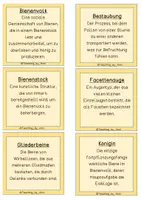 Vorschau - Text - Glossar/ Begriffserklärung - Biene - Seite 2