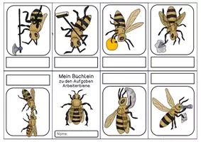 Vorschau - Arbeitsblätter - Faltbuch - Biene - Seite 3