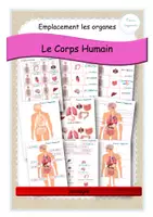 Aperçu - Apprentissages en autonomie - Corps humain - emplacement - les organes - MAJ - Page de couverture