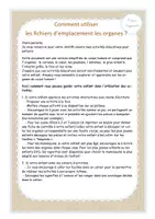 Aperçu - Apprentissages en autonomie - Corps humain - emplacement - les organes - MAJ - Page 2