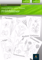 Vorschau - Arbeitsblätter - Materialpaket - Alles rund um die Biene - Seite 1