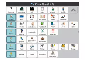 Aperçu - Apprentissages en autonomie - Bac sensoriel des émotions avec TLA 6, 9, 30 et 42 cases - Page 2