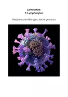 Vorschau - Stundenentwürfe - Sparpaket: Immunsystem des Körpers (Biologie) - Seite 1
