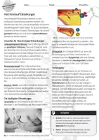 Vorschau - Arbeitsblätter - Herz-Kreislauf-Erkrankungen / Mensch & Gesundheit - Seite 1