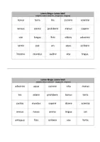 Vorschau - Interaktives Material - Latein-Bingo: Latein lebt! - Seite 3