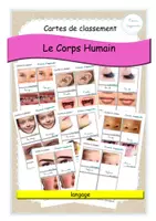 Aperçu - Apprentissages en autonomie - Corps humain - cartes de classement - visage - attaché - Page de couverture