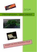 Vorschau - Stundenentwürfe - Mikroorganismen Sequenz (verschiedene Arten, Biogasanlage, Versuch Bakterienzucht...) - Deckblatt