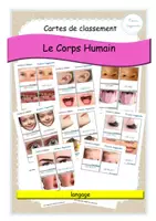 Aperçu - Apprentissages en autonomie - Corps humain - cartes de classement - visage - MAJ - Page de couverture