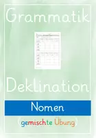 Vorschau - Arbeitsblätter - Deklination von Nomen im Singular und Plural - Seite 1