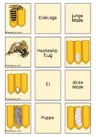 Vorschau - Spiele - Spielesammlung - Biene - Seite 1