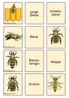 Vorschau - Spiele - Spielesammlung - Biene - Seite 3