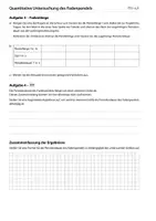 Vorschau - Arbeitsblätter - Quantitative Untersuchung des Fadenpendels - Seite 2