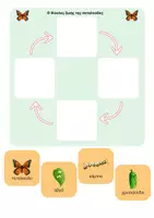 Προεπισκόπηση - Flashcards - Κατασκευή 3D Κύκλος Ζωής της Πεταλούδας "Μονάρχης" - Σελίδα 2