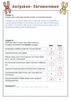 Vorschau - Arbeitsblätter - Chromosomen- Bausteine der Vererbung | Unterrichtsreihe Genetik - Seite 1