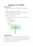 Vorschau - Arbeitsblätter - Wir pflanzen einen Frühblüher - Deckblatt