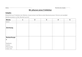 Vorschau - Arbeitsblätter - Wir pflanzen einen Frühblüher - Seite 2