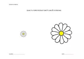 anteprima - Esercizi - Schede di verifica per la scuola dell'infanzia. - Pagina 3