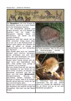 Vorschau - Arbeitsblätter - Säugetiere und Vögel - Sprachsensibles Materialpaket - Deckblatt