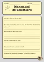 Vorschau - Arbeitsblätter - Die Nase und der Geruchssinn - Seite 2