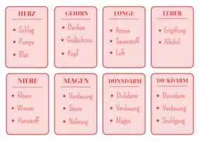Vorschau - Spiele - "Sag das nicht"-Spiel (Organe & Körperteile) - Seite 1