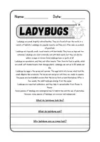 anteprima - Altro tipo di materiale - Lettura e comprensione in inglese - Ladybugs - Pagina di copertina
