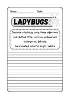 anteprima - Altro tipo di materiale - Lettura e comprensione in inglese - Ladybugs - Pagina 1