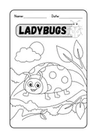 anteprima - Altro tipo di materiale - Lettura e comprensione in inglese - Ladybugs - Pagina 2