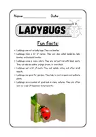 anteprima - Altro tipo di materiale - Lettura e comprensione in inglese - Ladybugs - Pagina 3