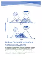 Vorschau - Stationenlernen - Phänologischer Mismatch durch Klimawandel - Deckblatt