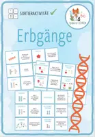 Vorschau - Spiele - Erbgänge - Paare Finden Spiel / Zuordnungsaktivität - Deckblatt
