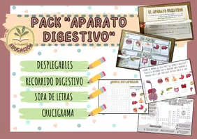 Vista previa - Hojas de trabajo - APARATO DIGESTIVO - Portada
