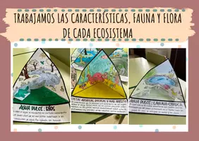 Vista previa - Manualidades / Dibujos para colorear - TRIORAMAS DE ECOSISTEMAS - página 2