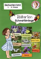 Vorschau - Bildkarten - Schmetterling Bildkarten | Sachunterricht Klasse 1-3 - Deckblatt
