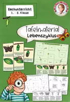 Vorschau - Arbeitsblätter - Mega-Paket Schmetterling | Sachunterricht Klasse 1-3 - Seite 1