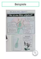 Vorschau - Stundenentwürfe - Der Aufbau der Blüte - Hefteintrag und Stundenverlauf - Interactive Notebook - Interaktiver Hefteintrag - Seite 1