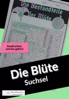 Vorschau - Arbeitsblätter - Der Aufbau der Blüte - Suchsel - Arbeitsblatt - Deckblatt