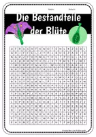 Vorschau - Arbeitsblätter - Der Aufbau der Blüte - Suchsel - Arbeitsblatt - Seite 1