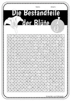 Vorschau - Arbeitsblätter - Der Aufbau der Blüte - Suchsel - Arbeitsblatt - Seite 2