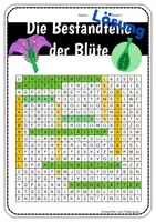 Vorschau - Arbeitsblätter - Der Aufbau der Blüte - Suchsel - Arbeitsblatt - Seite 3
