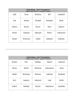 Vorschau - Interaktives Material - Latein-Bingo: "ferre" konjugieren - Seite 3
