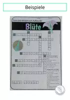 Vorschau - Arbeitsblätter - Kreuzworträtsel zum Aufbau der Blüte - Seite 1