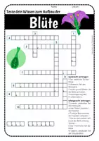 Vorschau - Arbeitsblätter - Kreuzworträtsel zum Aufbau der Blüte - Seite 2
