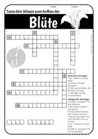 Vorschau - Arbeitsblätter - Kreuzworträtsel zum Aufbau der Blüte - Seite 3