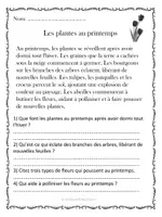 Aperçu - Feuilles d'exercices - Compréhension de lecture - PRINTEMPS (10 textes) - Page 2