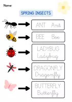 Vista previa - Unidades / Secuencias / Situaciones de Aprendizaje - SPRING INSECTS! Coneix els insectes de la primavera! - Portada