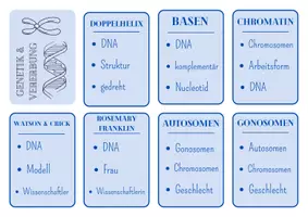 Vorschau - Spiele - "Sag das nicht" - Spiel (Genetik und Vererbung) - Deckblatt