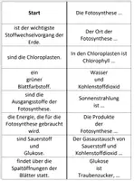 Vorschau - Arbeitsblätter - Domino Fotosynthese Biologie 7. Klasse - Deckblatt