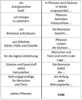 Vorschau - Arbeitsblätter - Domino Fotosynthese Biologie 7. Klasse - Seite 2