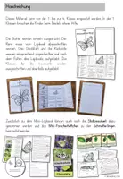 Vorschau - Arbeitsblätter - Schmetterling Lapbook | Sachunterricht Klasse 1-4 - Seite 3